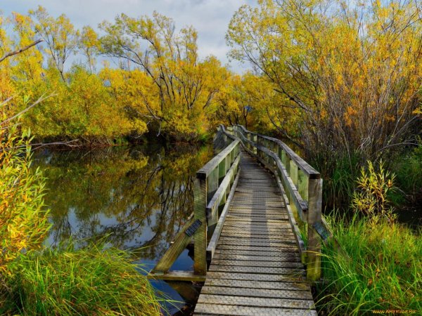 Природа речка мостик