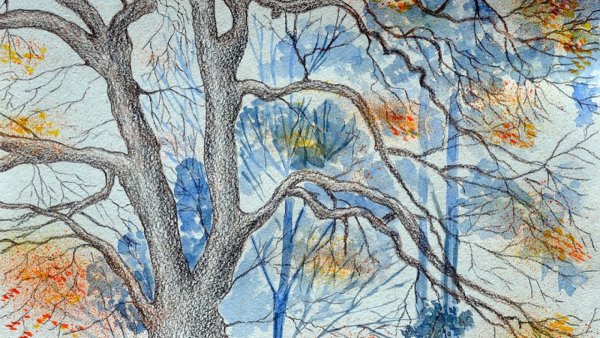 Графический пейзаж цветными карандашами