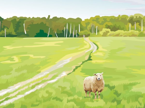 Нарисованное поле