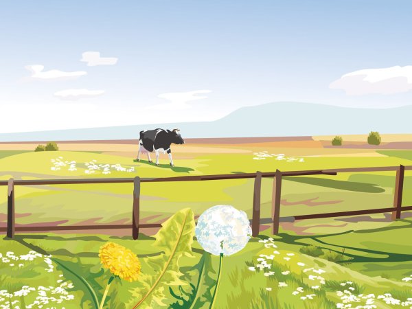 Пейзаж деревни