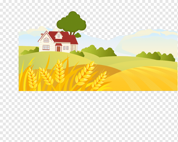 Сельская местность без фона