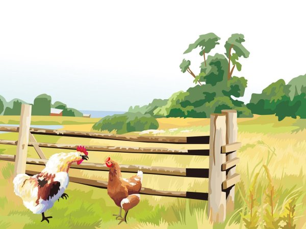 Векторные пейзажи деревни