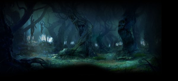 Темный лес сражение