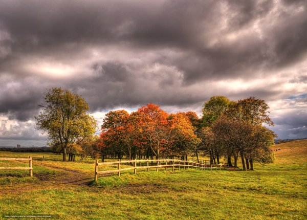 Поле осенью