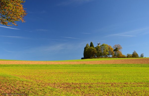Осень поле лес