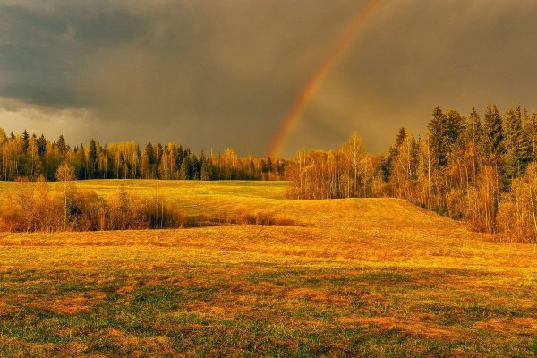 Скошенное поле