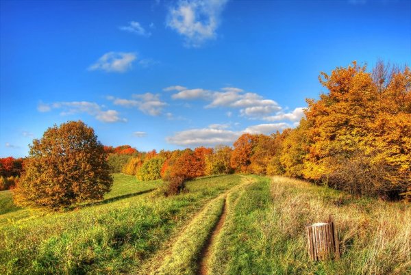 Осенний пейзаж поле