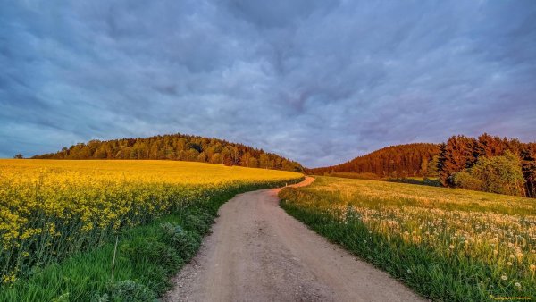 Поле осенью