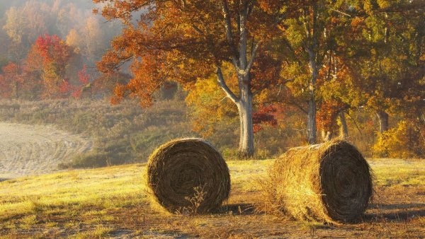 Пейзаж панорама