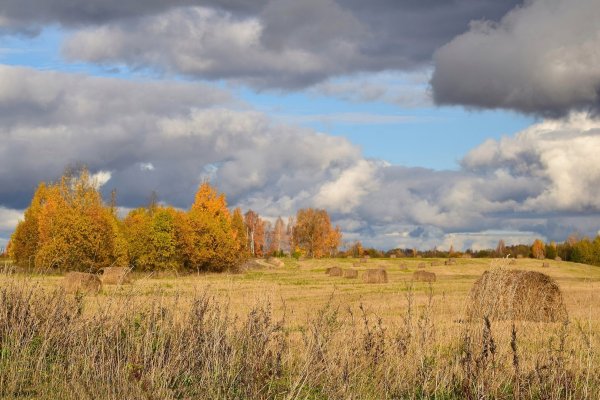Осенняя деревенская дорога