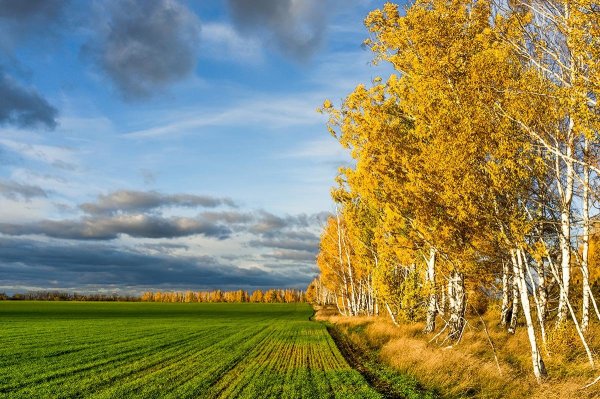 Пейзаж небо