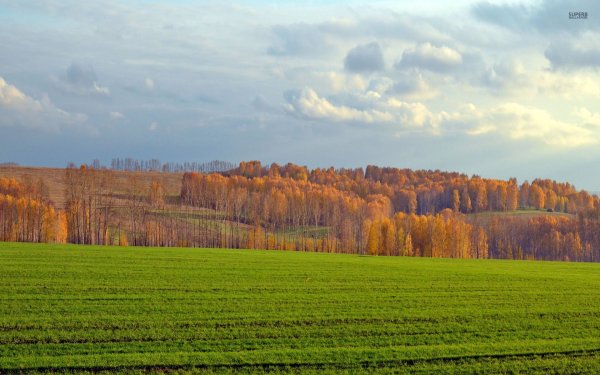 Осенний пейзаж в деревне