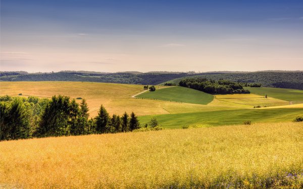 Холмистые равнины России