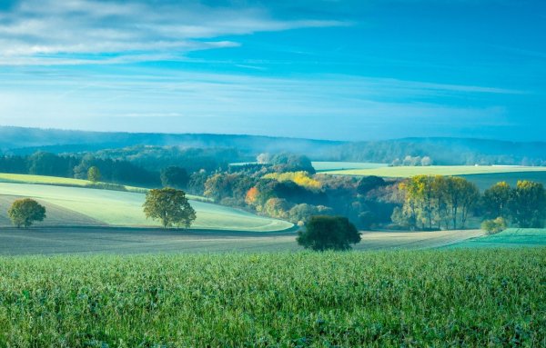Пейзаж холмы