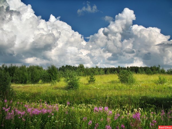 Летние пейзажи России