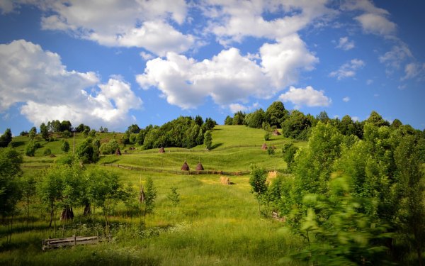 Родные просторы Пушгоры панорама