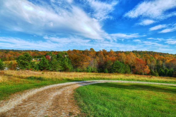 Природа с дорогой