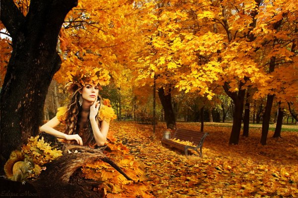 Красивые женщины в осеннем пейзажей