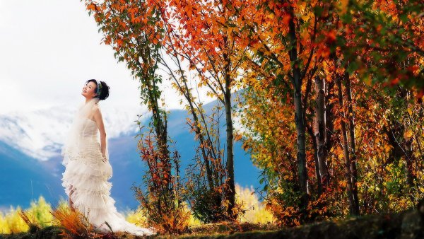 Художник Александр Болотов осень