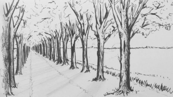 Лес в перспективе рисунок