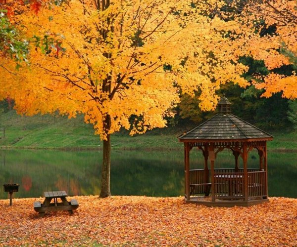 Осенний сад