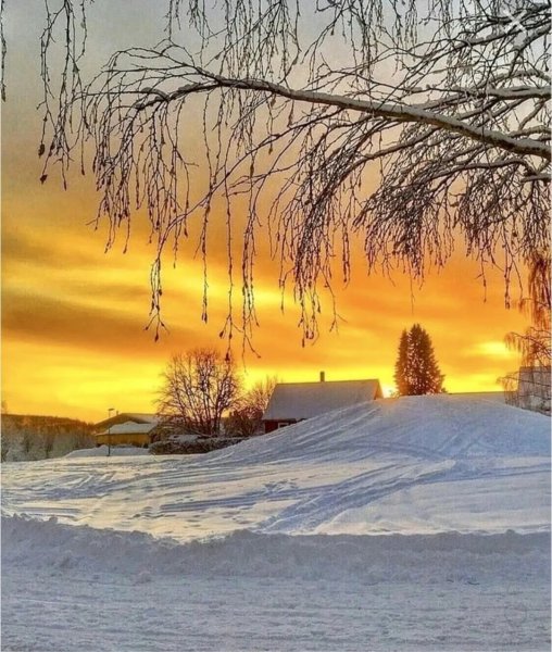 Солнечный зимний день