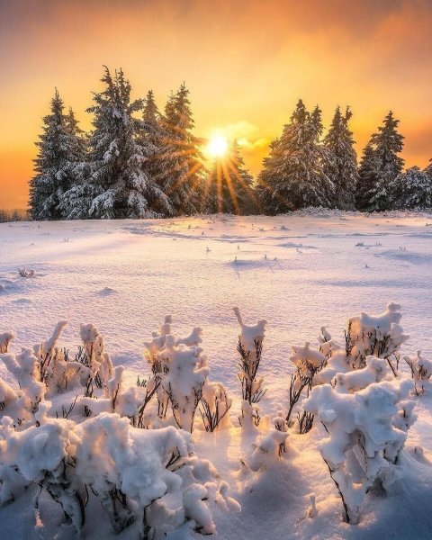 Зимняя природа