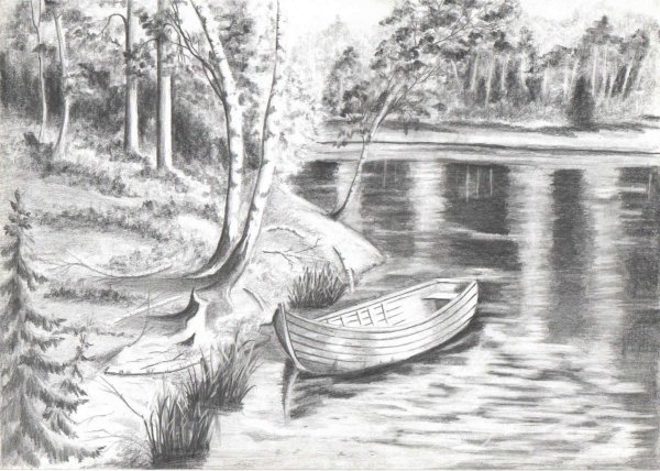 Природа карандашом