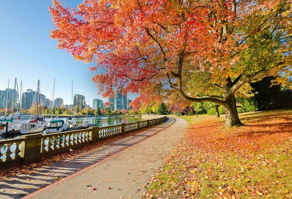 Роберт Вуд картины осень