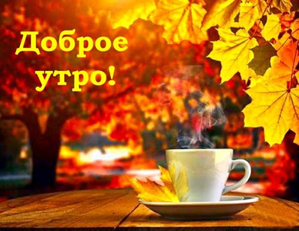 Доброе осеннее утро