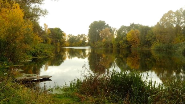 Старый Оскол река