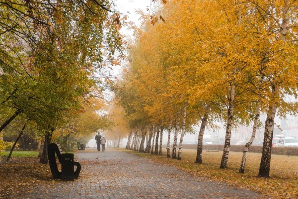 Россия, Белгородская область, старый Оскол