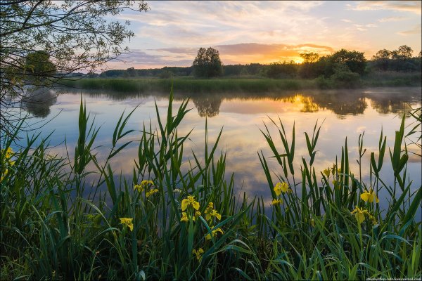 Ротонда Белгород