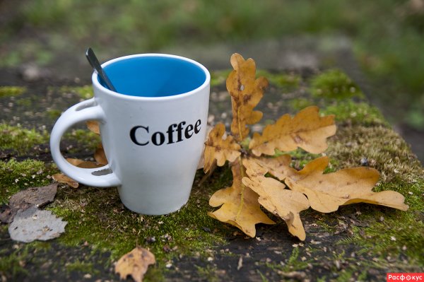 Кружка «осень»