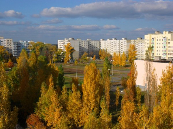 Город старый Оскол природа