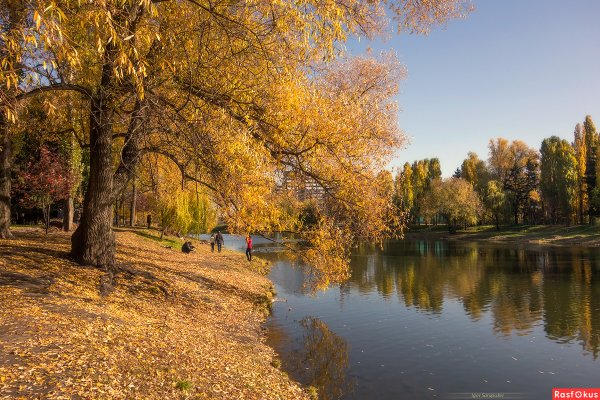 Ротонда осенью Волгоград