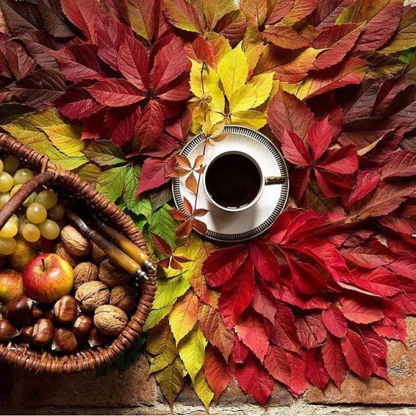 Осеннее утро