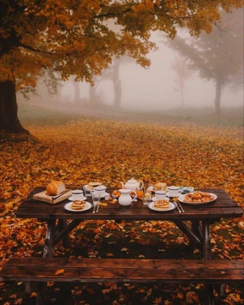 Чай на природе осенью