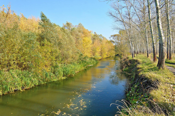 Старый Оскол осень