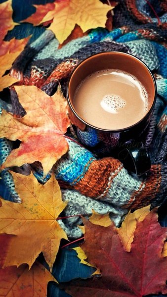 Чашка кофе осень