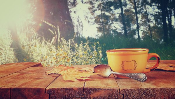 Чай на природе