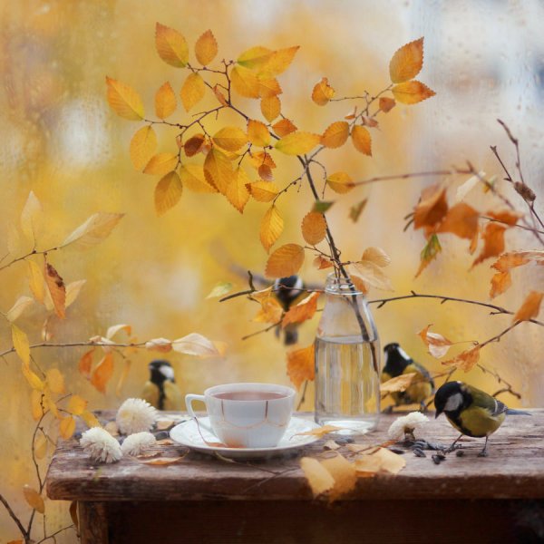Осеннее утро живопись