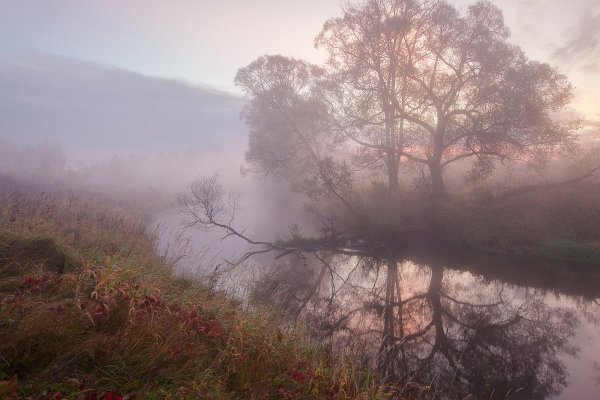 Туманное осеннее утро