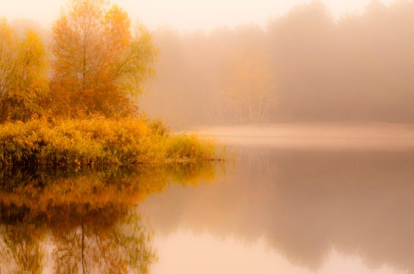 Золотая осень туман