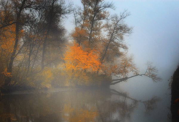 Осенний туман