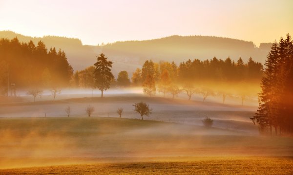 Осень туманное утро