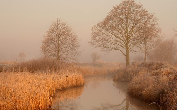 Пасмурная осень