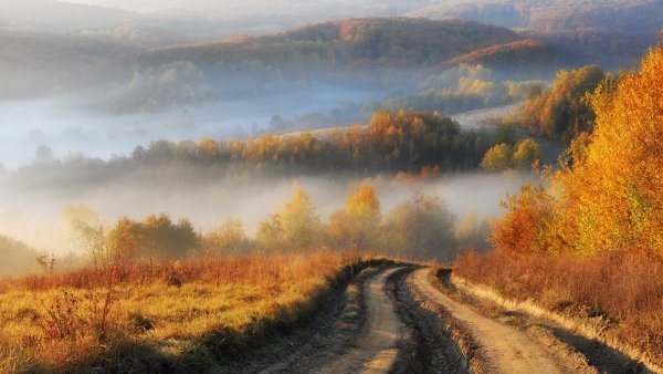 Осенний туманный пейзаж