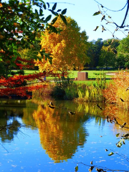 Осень вертикальные