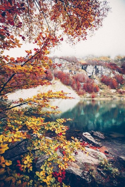 Осень вертикальные